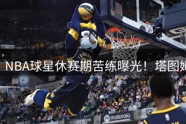 NBA球星休赛期苦练曝光！塔图姆哈利伯顿墨菲三人组训练画面引热议